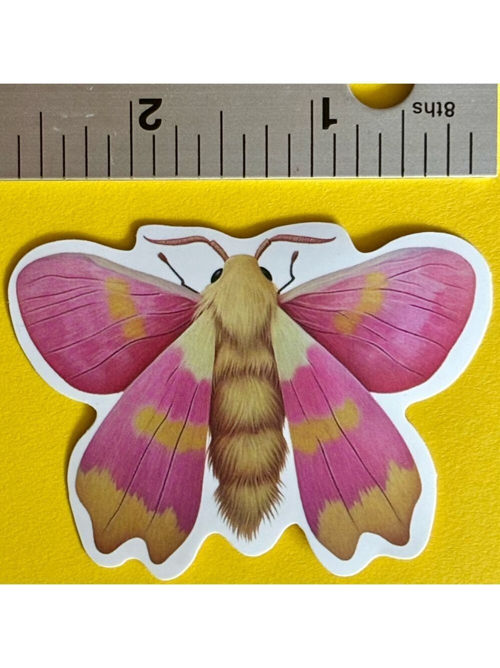 10/$10 Butterfly Aesthetic Vinyl Sticker -Waterproof Water Bottle Laptop Craft